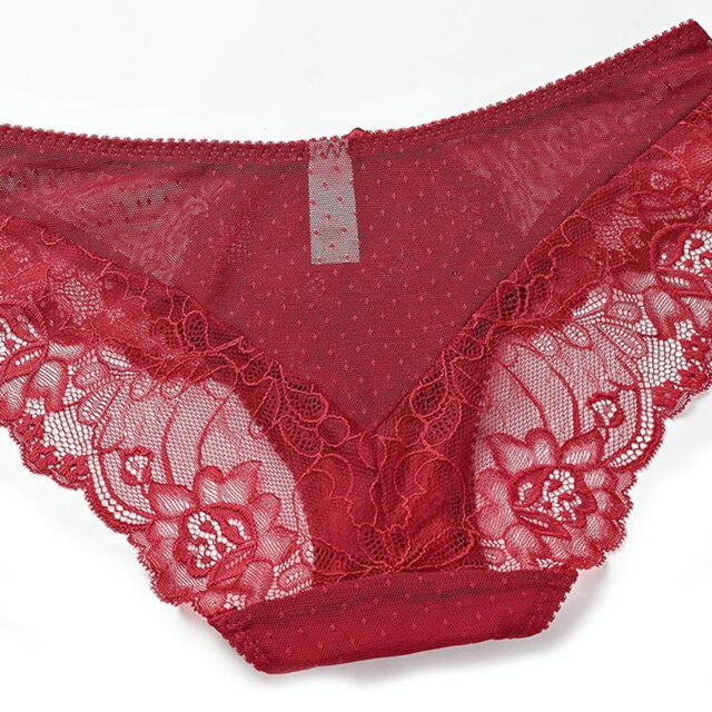 Women’s Sheer Laces Classic Panty Lace Underwear Panties cb5feb1b7314637725a2e7: black|Blue|Green|Red