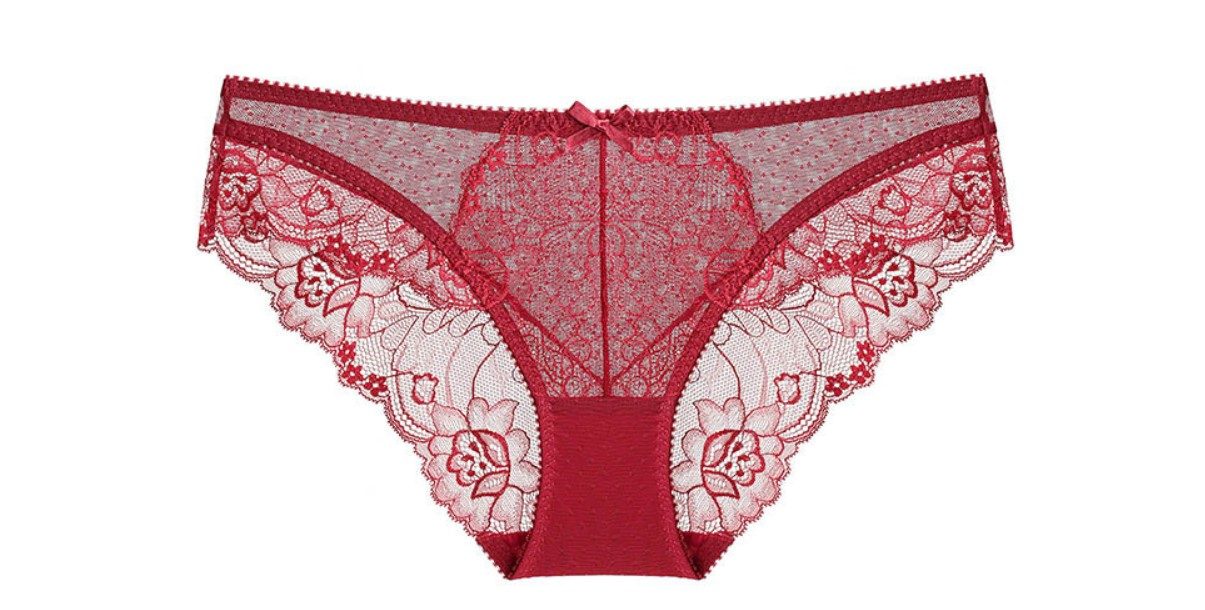 Women's Sheer Laces Classic Panty