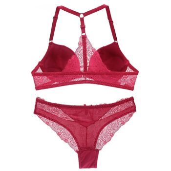 Women’s Lace Bra and Panties Lace Underwear Sets cb5feb1b7314637725a2e7: black|Blue|Gray|pink|Red|white
